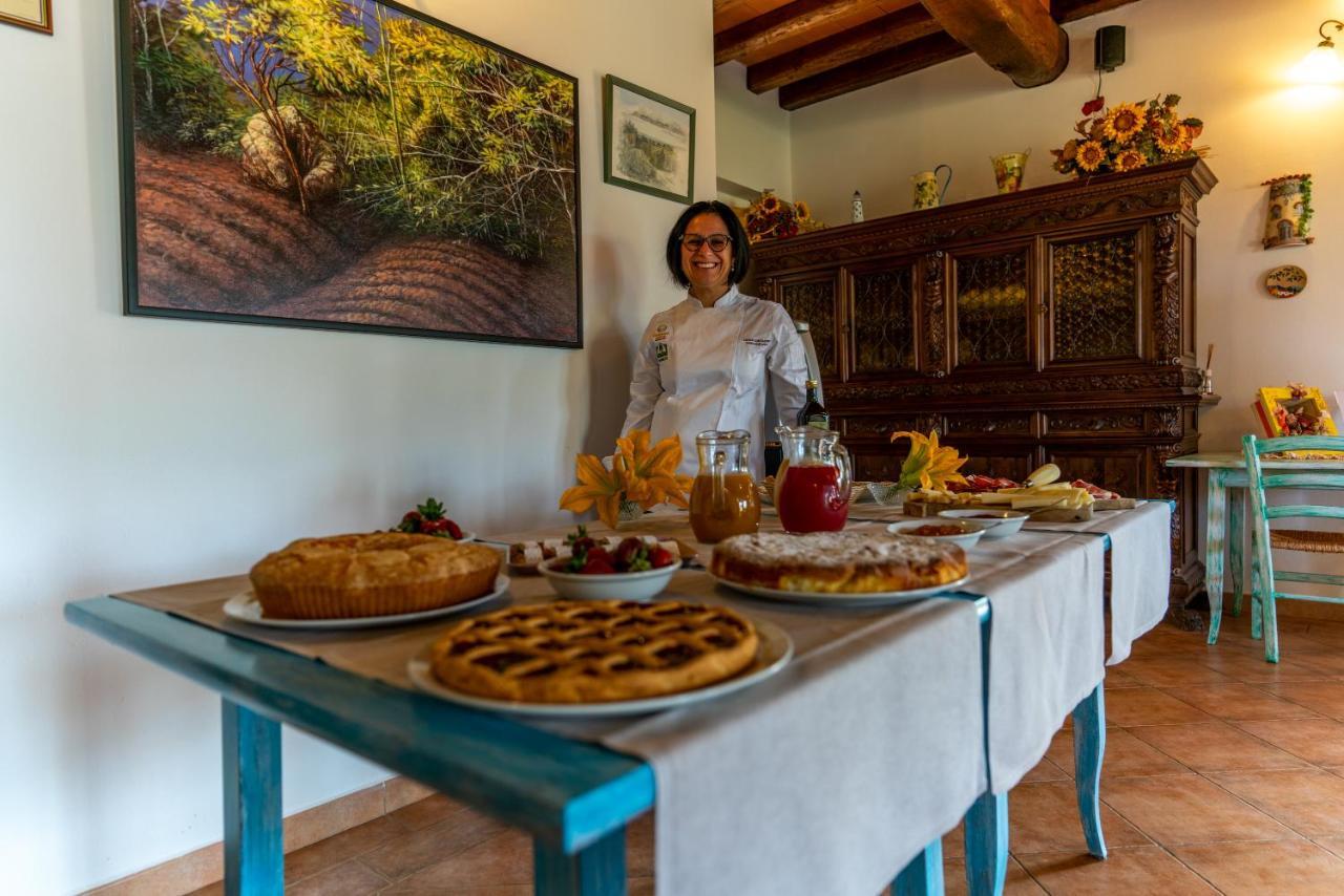 Agriturismo La Banchella Scarlino Exteriér fotografie