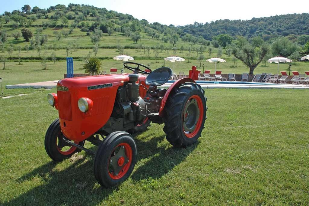 Agriturismo La Banchella Scarlino Exteriér fotografie